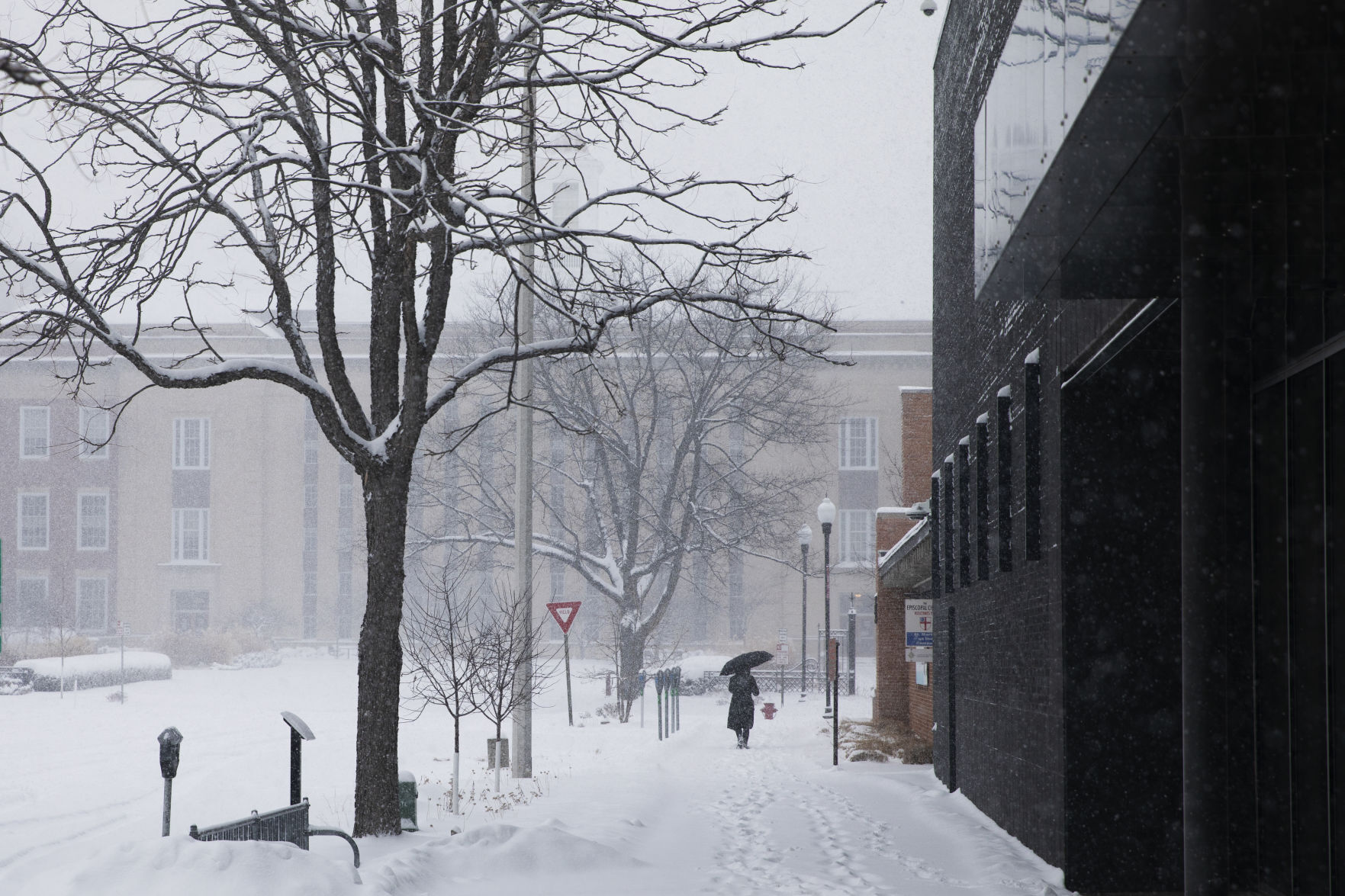 Winter Storm 1.25